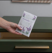 Load image into Gallery viewer, Fresh Scents Lavender Sachets - krisglamcloset