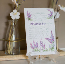 Load image into Gallery viewer, Fresh Scents Lavender Sachets - krisglamcloset