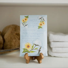 Load image into Gallery viewer, Fresh Scents White Cotton Sachets - krisglamcloset