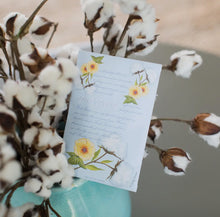 Load image into Gallery viewer, Fresh Scents White Cotton Sachets - krisglamcloset