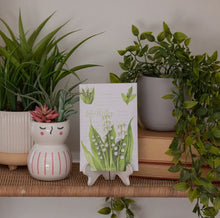 Load image into Gallery viewer, Fresh Scents Lily of the Valley Sachets - krisglamcloset