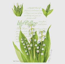 Load image into Gallery viewer, Fresh Scents Lily of the Valley Sachets - krisglamcloset