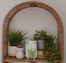Load image into Gallery viewer, Fresh Scents Lily of the Valley Sachets - krisglamcloset