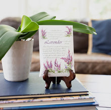 Load image into Gallery viewer, Fresh Scents Lavender Sachets
