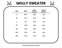 Load image into Gallery viewer, ONLINE ONLY Molly Sweater - Grey
